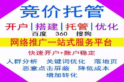 百度推广公司的成功案例：如何实现广告投资回报最大化